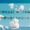 妊娠13週でまたも不正出血 茶オリが出てしまった みとせいかつ